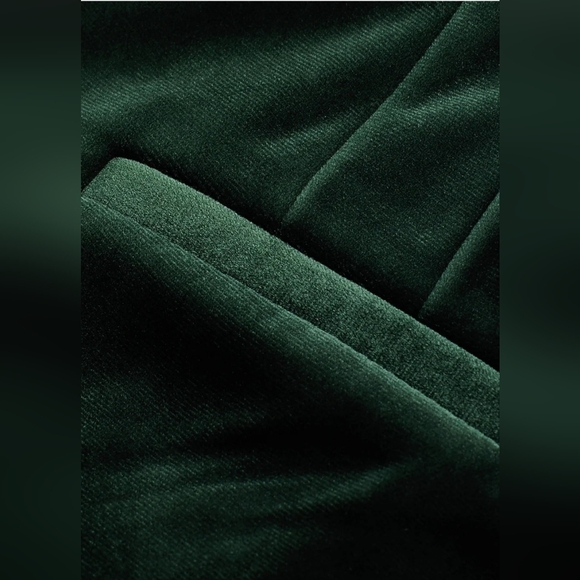 Express, NWOT Editor Super High Waisted Velvet Flare Trouser Pant Sz 6R - Picture 13 of 13